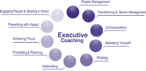 Executive coaching (coach)