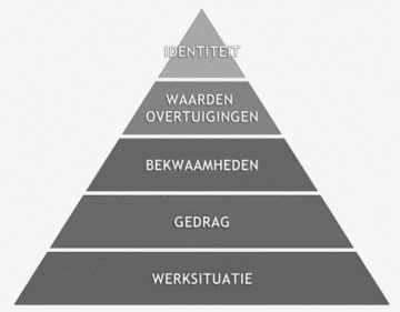 Training leiding geven aan professionals, cursus